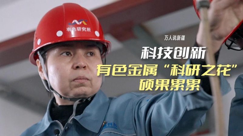 企业数字化工具版本差异解析：如何选择合适版本